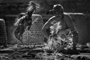 worldphoto2012mis