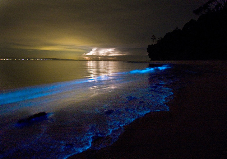bioluminescencia_where-is-this