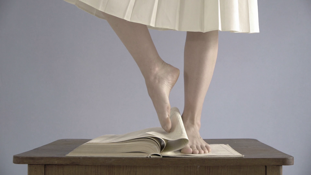 Agata Michowska - Lesson of History 2012 video 25'26-