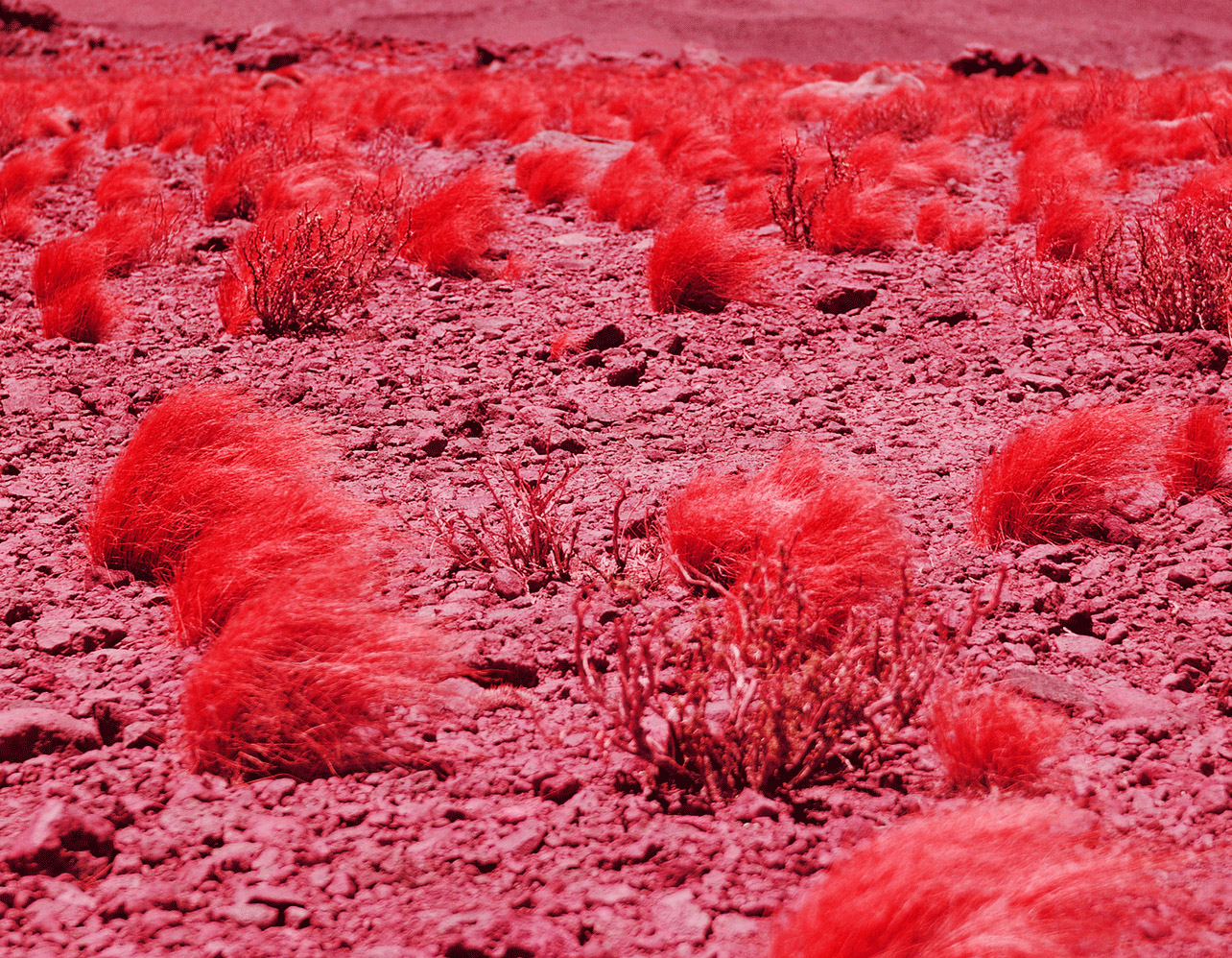 As 30 imagens apocalípticas do Atacama