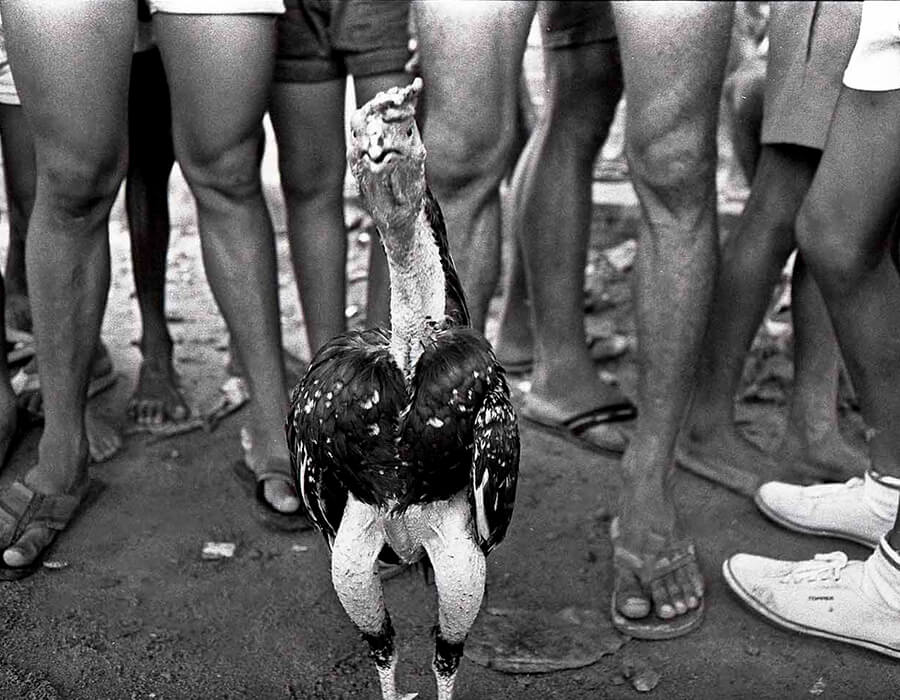 32 fotógrafos inusitados revelam a história da fotografia brasileira