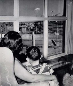 Uma mãe e seu filho olham para a nuvem de cogumelo após um teste nuclear em Las Vegas em 1953.