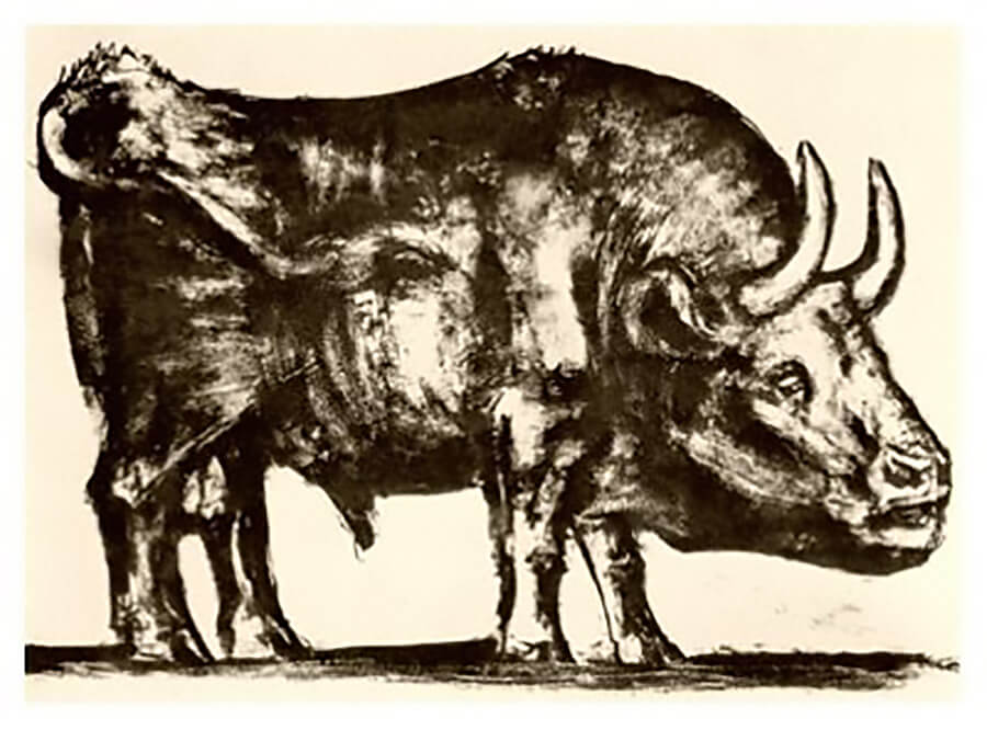 El toro de Picasso 2