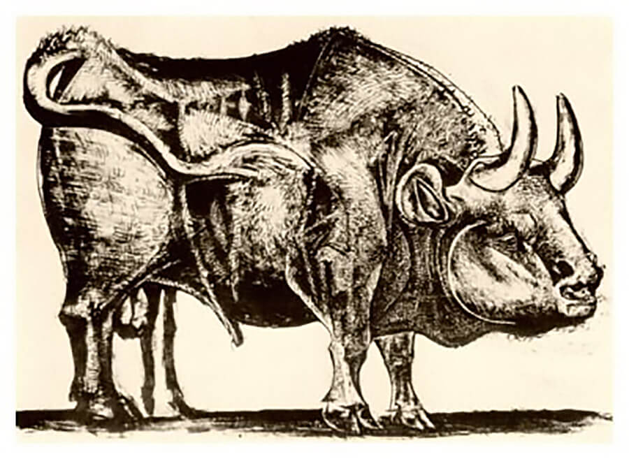 El toro de Picasso 3