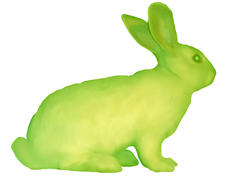 O coelho fluorescente de Eduardo Kac