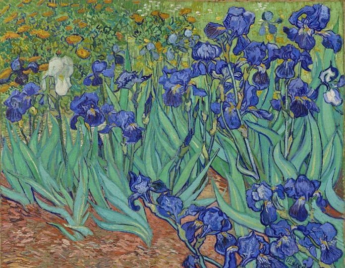 Irises
