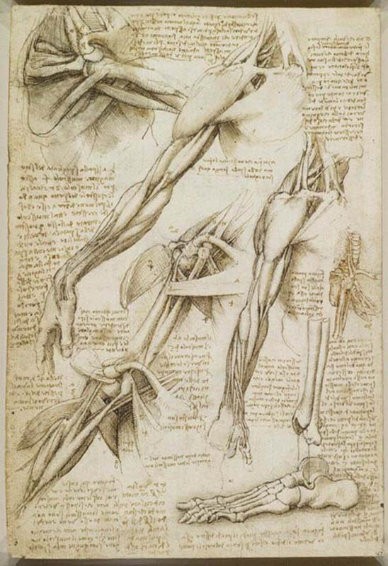 Leonardo da Vinci - Cadernos