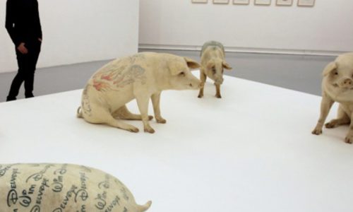 Wim Delvoye. "Les cochons tatoués" ("Os porcos tatuados") | Museu de Arte Moderna e Contemporânea de Nice (França), 2010