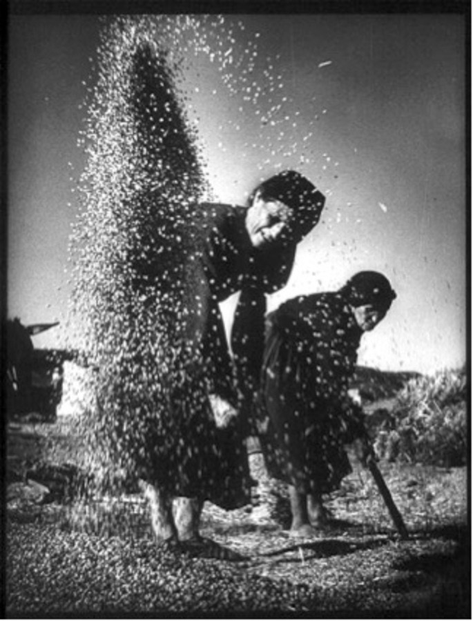 Campo de trigo. Extremadura, Espanha. W. Eugene Smith, 1951; O homem e o trabalho