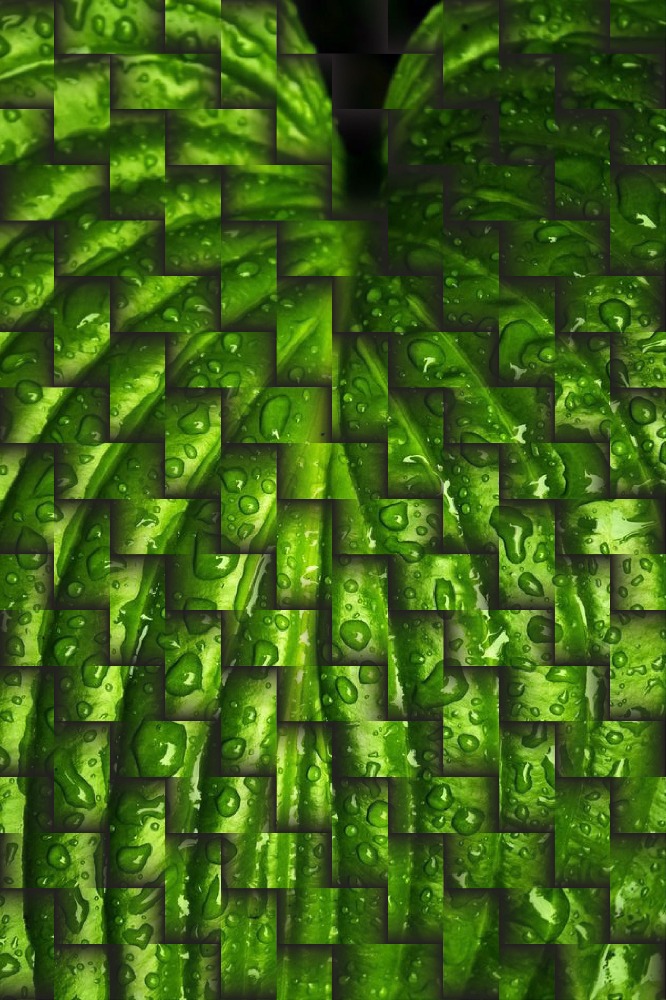 True Nature - Flávia Mesquita