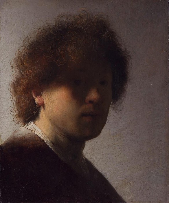 Autorretrato com cabelo desgrenhado. Rembrandt