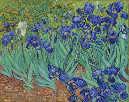 Lírios - Van Gogh