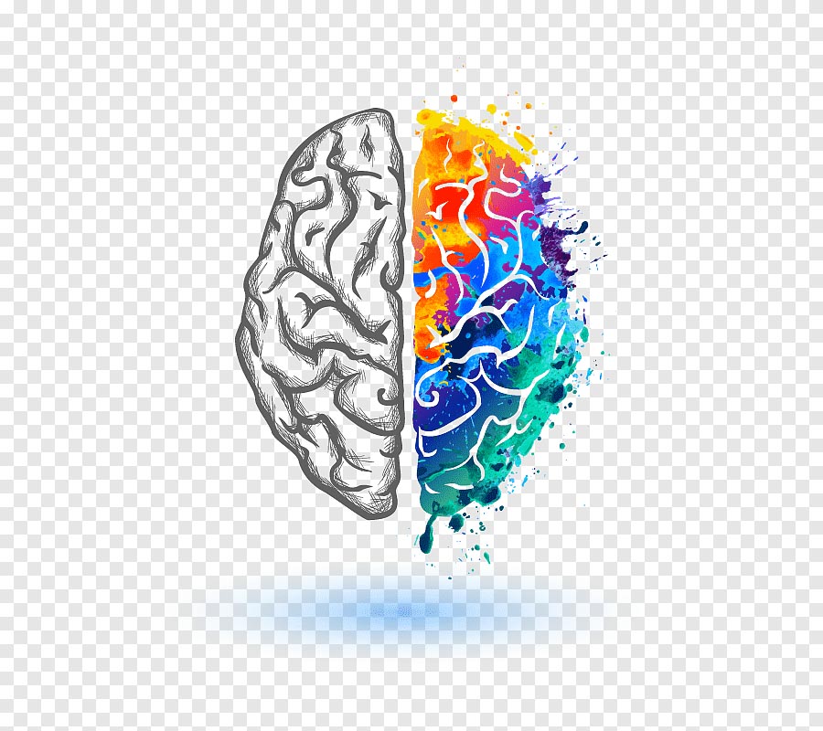 cerebro: psicologia do comprador