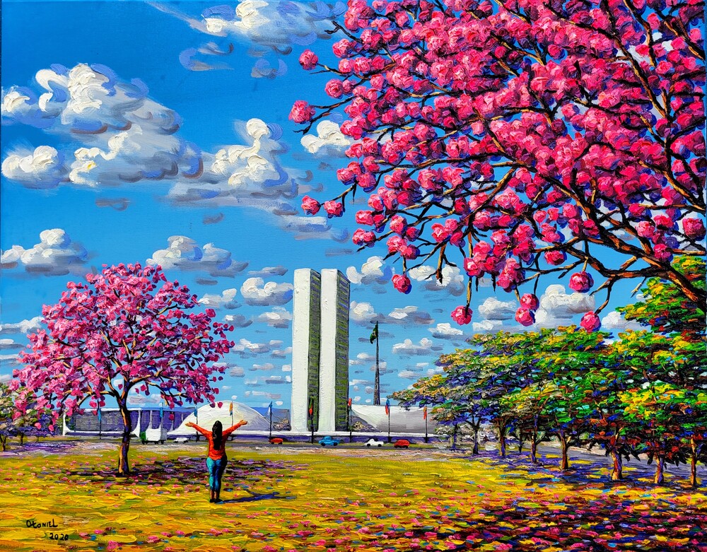 I love Brasilia - Otoniel Fernandes Neto