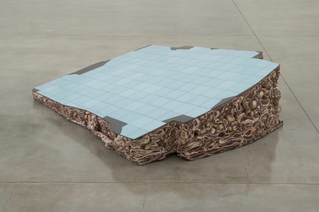 Adriana Varejão